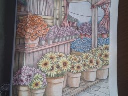 whatsapp bild 2025-01-04 um 13.38.12_5da75418